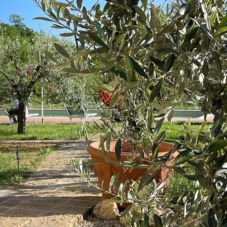 Apartment Tuscany Stylish With Pool Borgo Pian Di Sala *