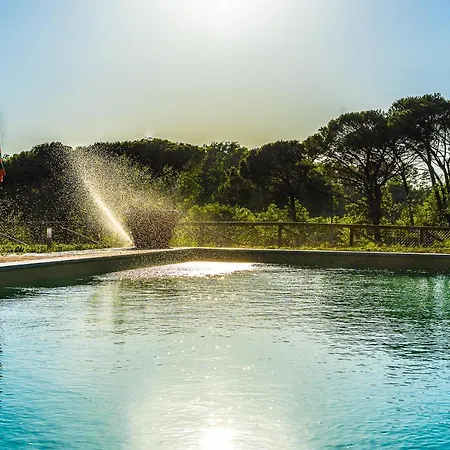 Tuscany Stylish With Pool Borgo Pian Di Sala Apartment
