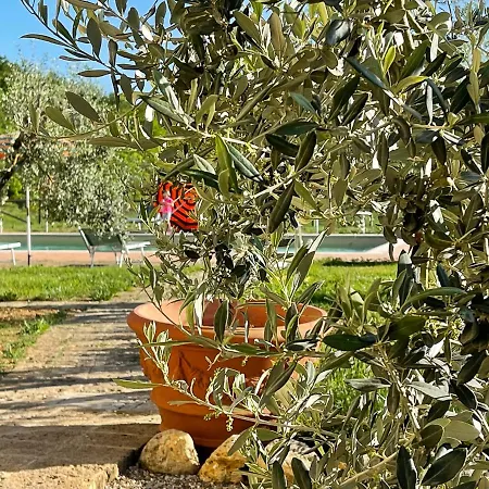 Tuscany Stylish With Pool Borgo Pian Di Sala Apartment San Gimignano
